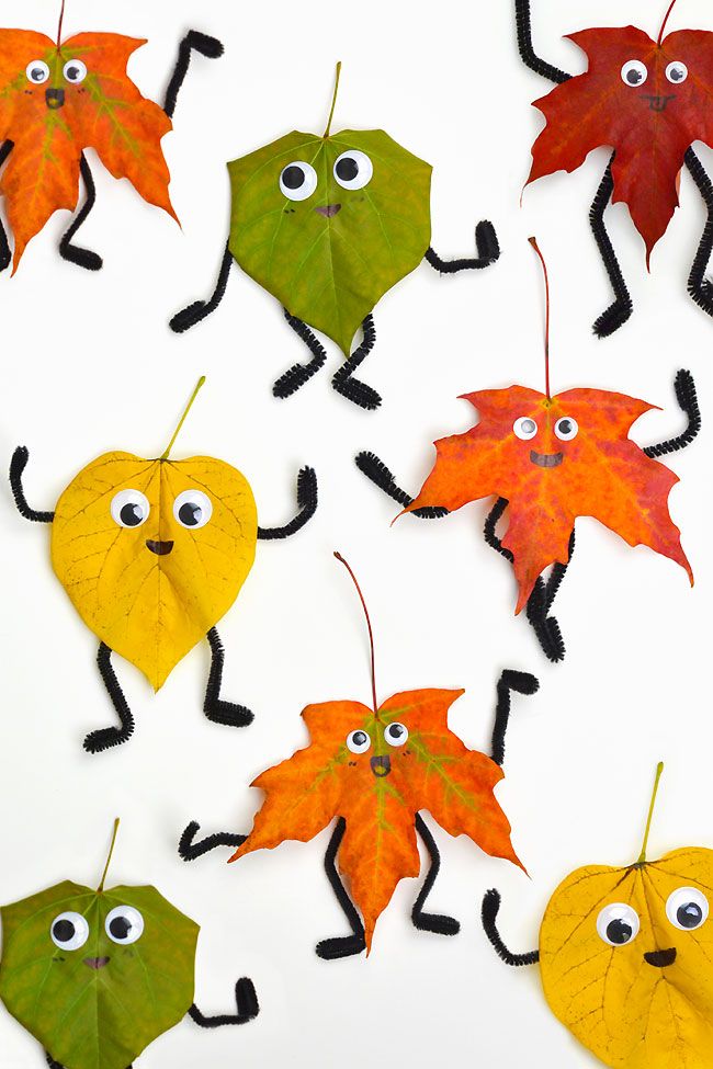 some leaves with eyes and legs are arranged in the shape of leaf faces on white background