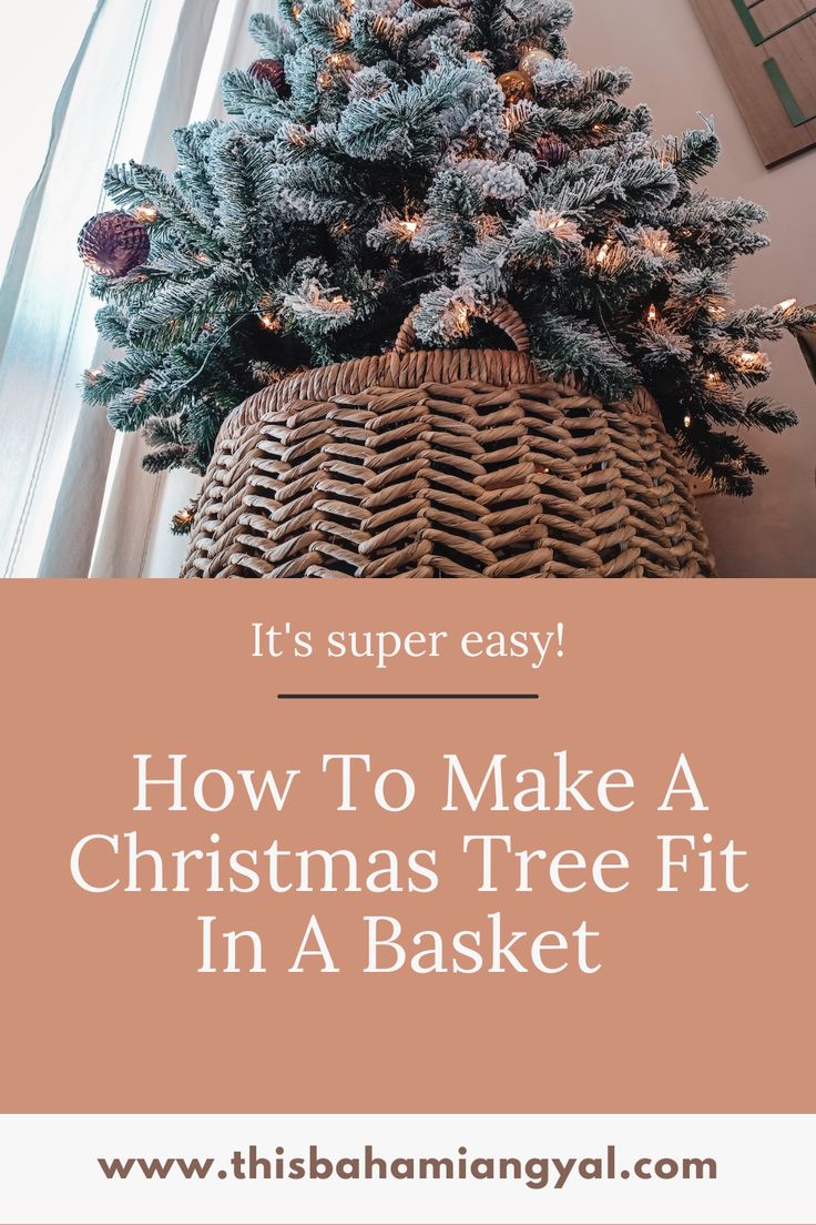 a christmas tree in a basket with the words how to make a christmas tree fit in a basket