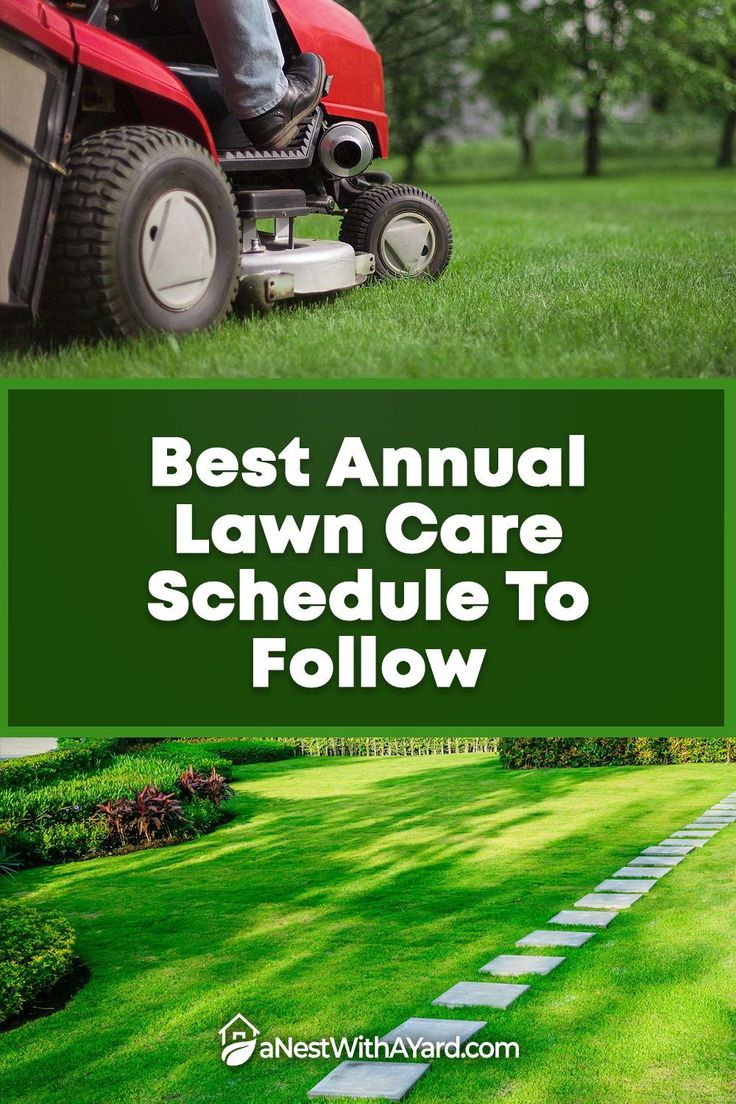 the best annual lawn care schedule to follow