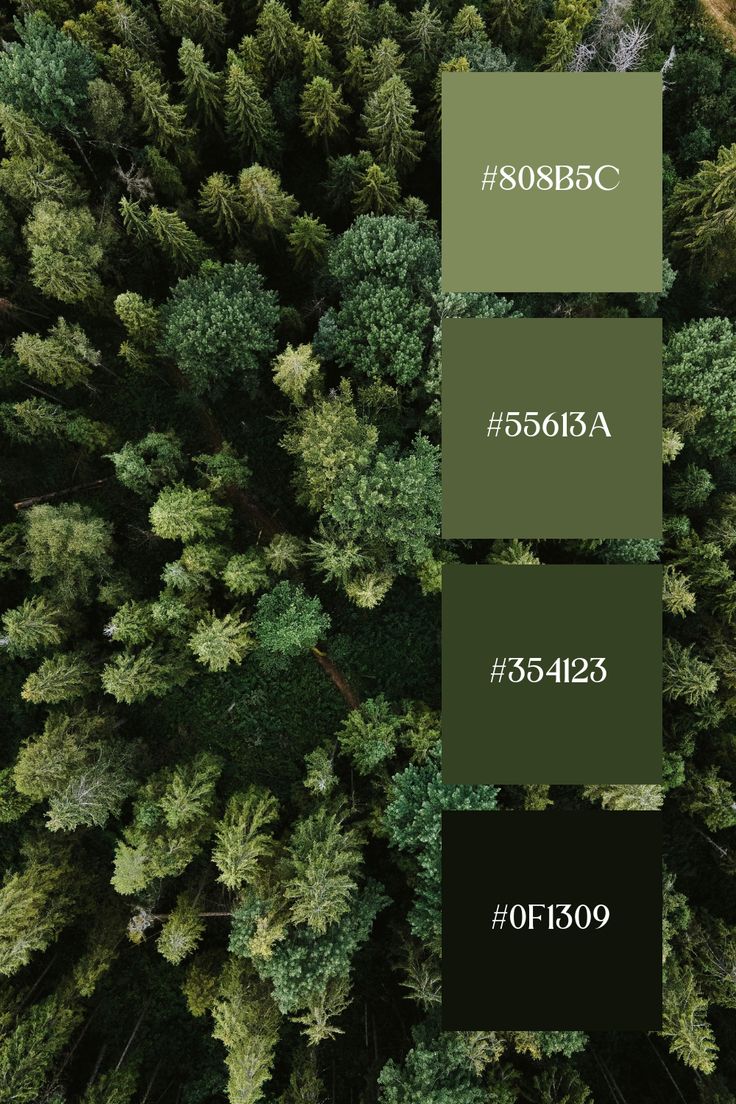 top down view of trees with green leaves and the words sub bc on them in black