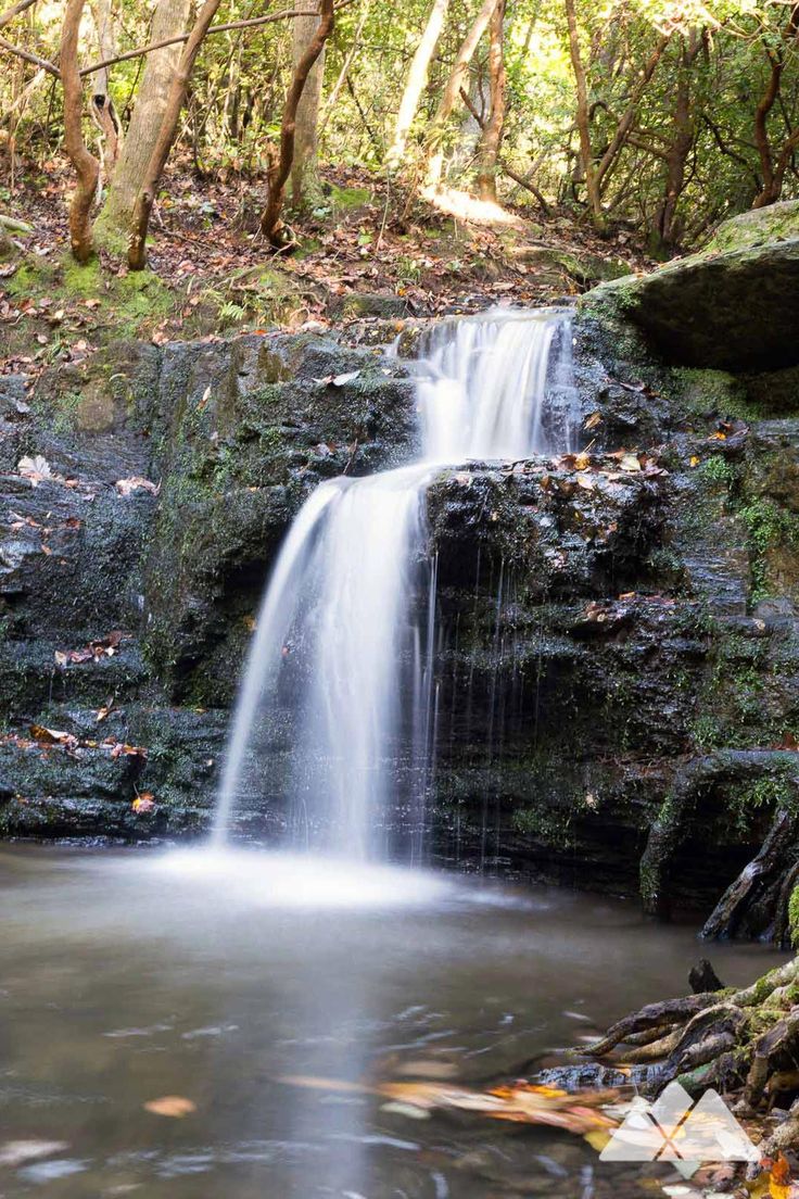 a small waterfall in the middle of a forest