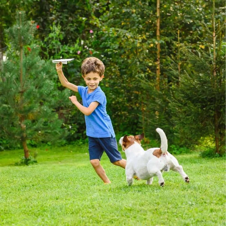 a young boy playing frisbee with two dogs in the grass near some trees