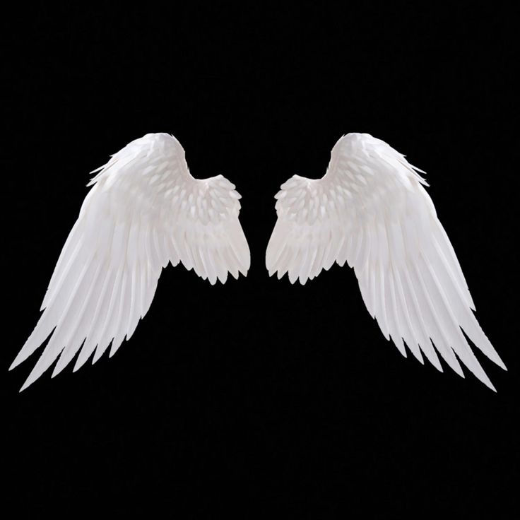 two white wings on a black background