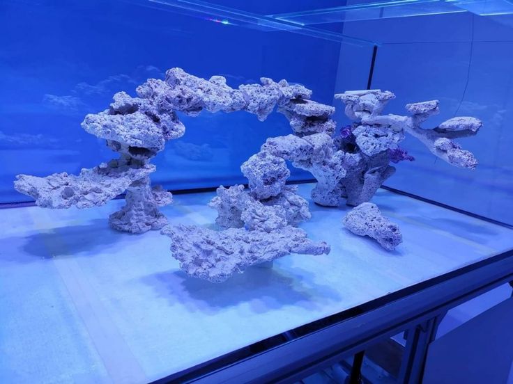 an aquarium filled with lots of rocks and water in front of it's blue walls