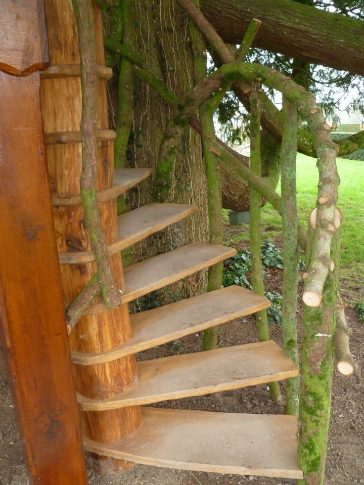 a set of stairs made out of wood and moss