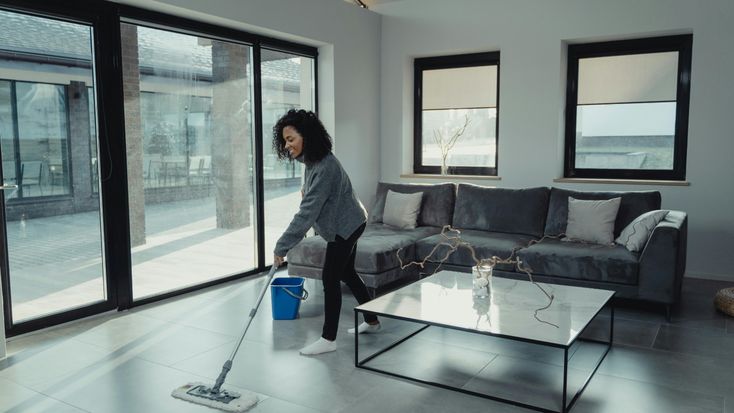 Marie Cleaning Master