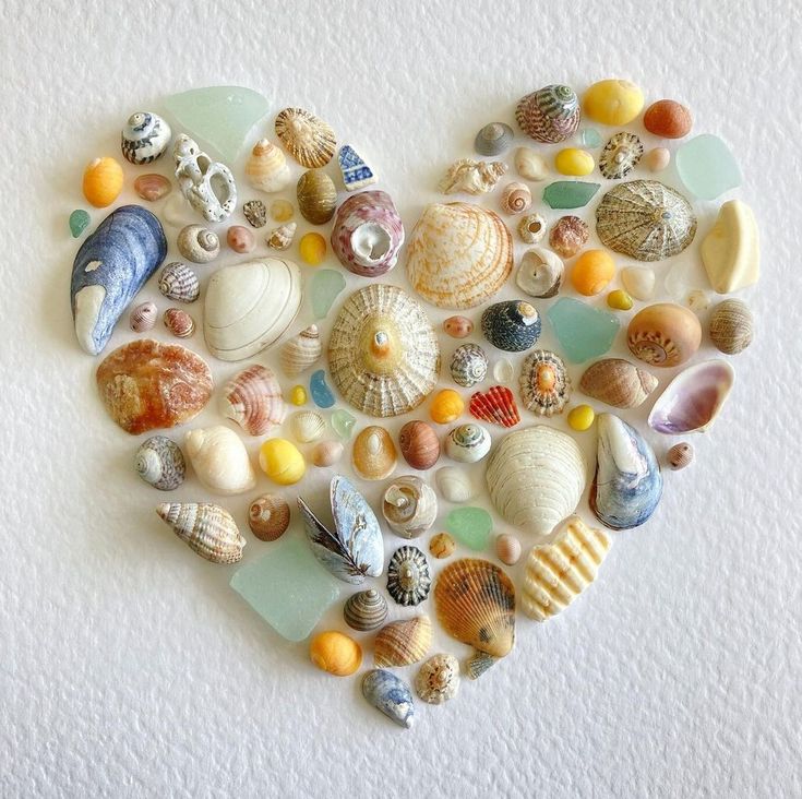 a heart made out of seashells on a white wall