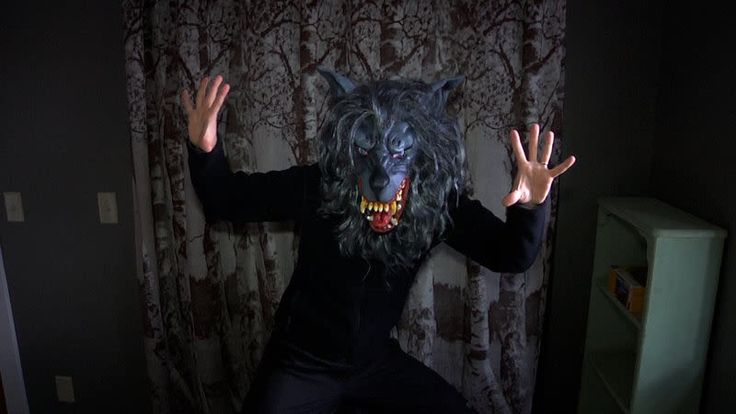 a man dressed as a wolf standing in front of a curtain with his hands up