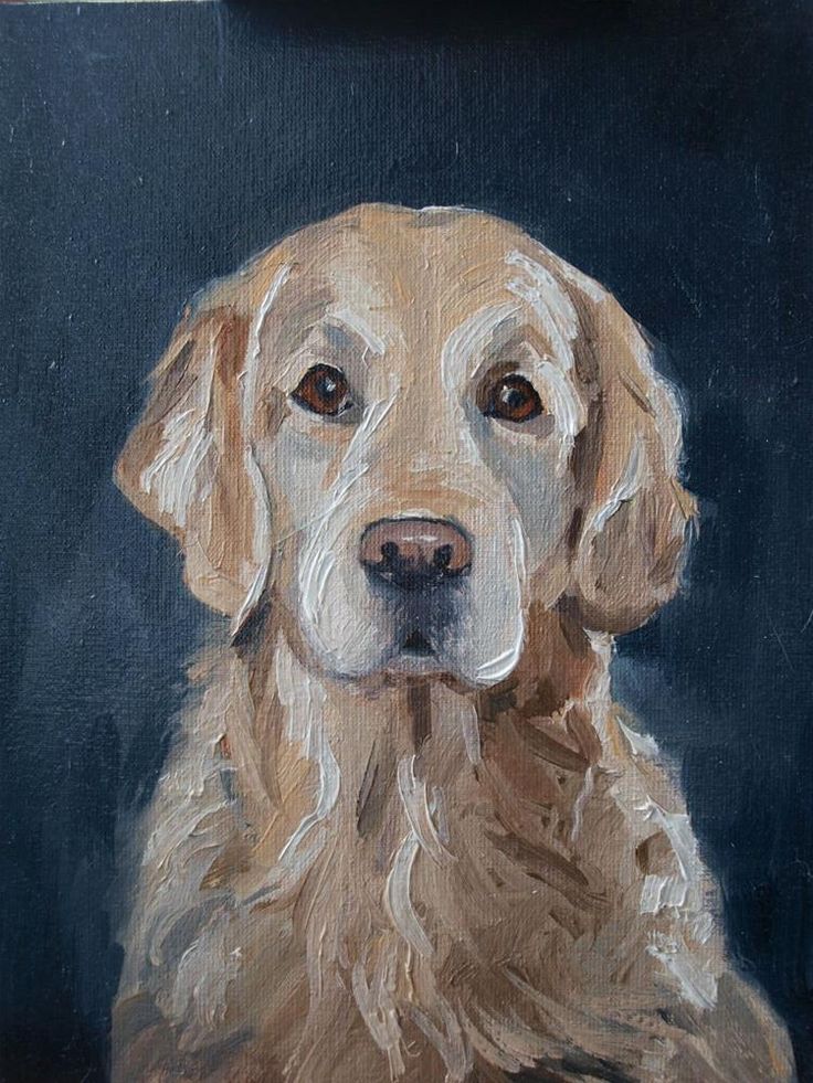 a painting of a golden retriever dog on a black background, looking at the camera