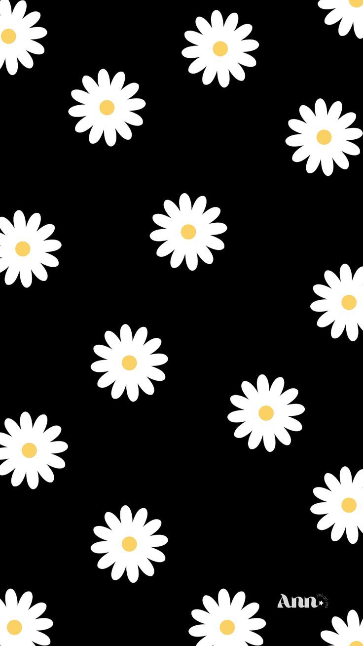 white daisies on black background with yellow centers in the center and bottom part of the image