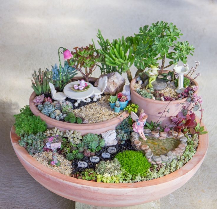 several potted plants are arranged on a table