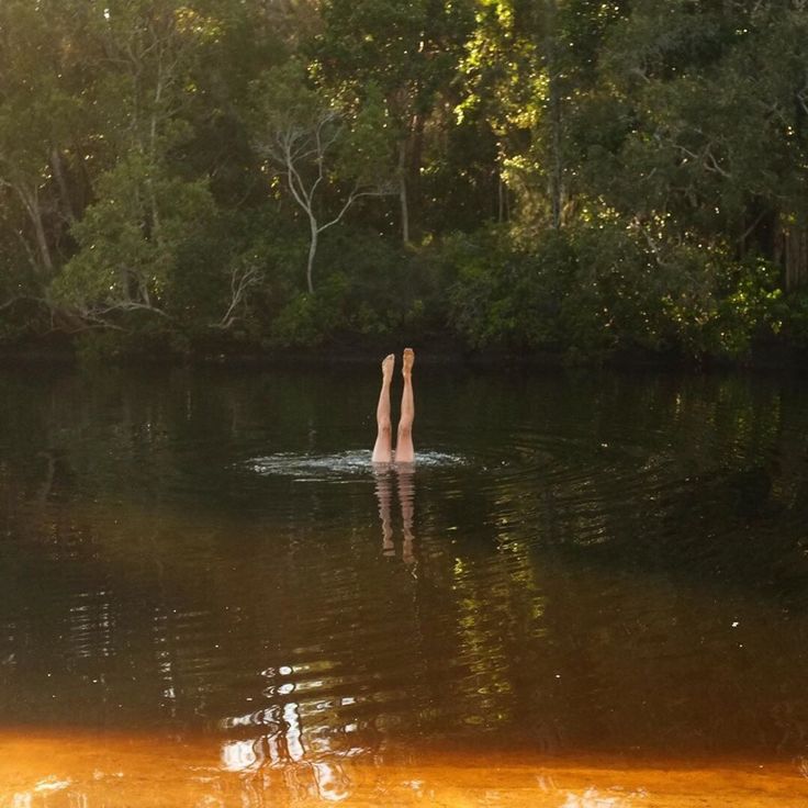 two people are swimming in the water near some trees and bushes, with their legs sticking out from the water