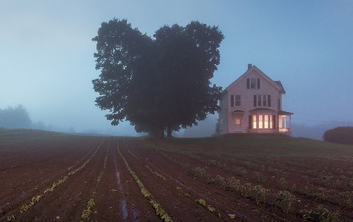 a large house sitting on the side of a lush green field next to a tree