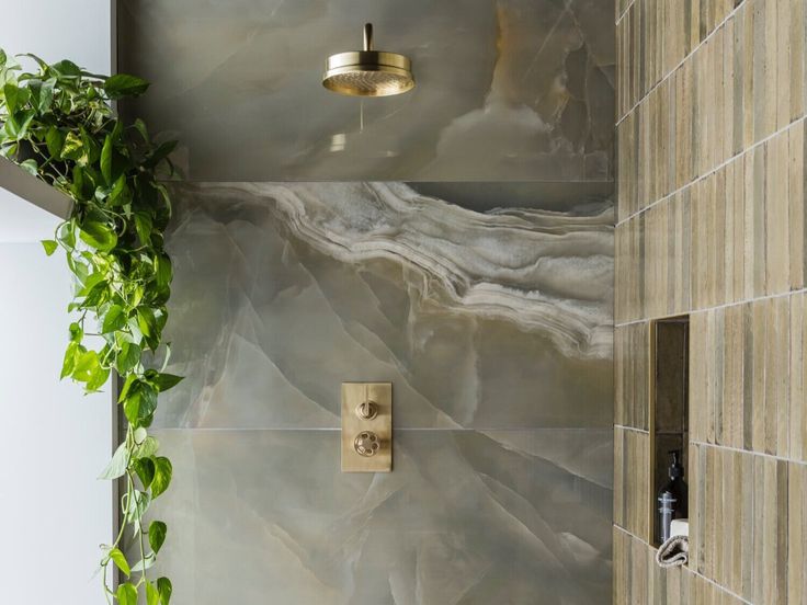 a bathroom with a green plant in the corner and marble tile on the shower wall