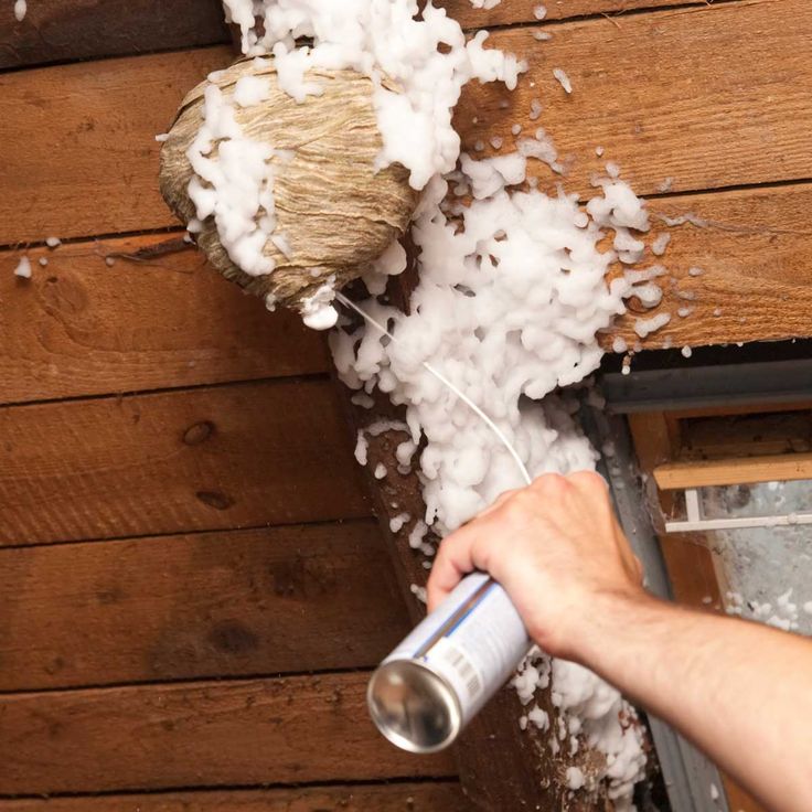 a person is using a sprayer to remove snow from the ceiling and wood paneling