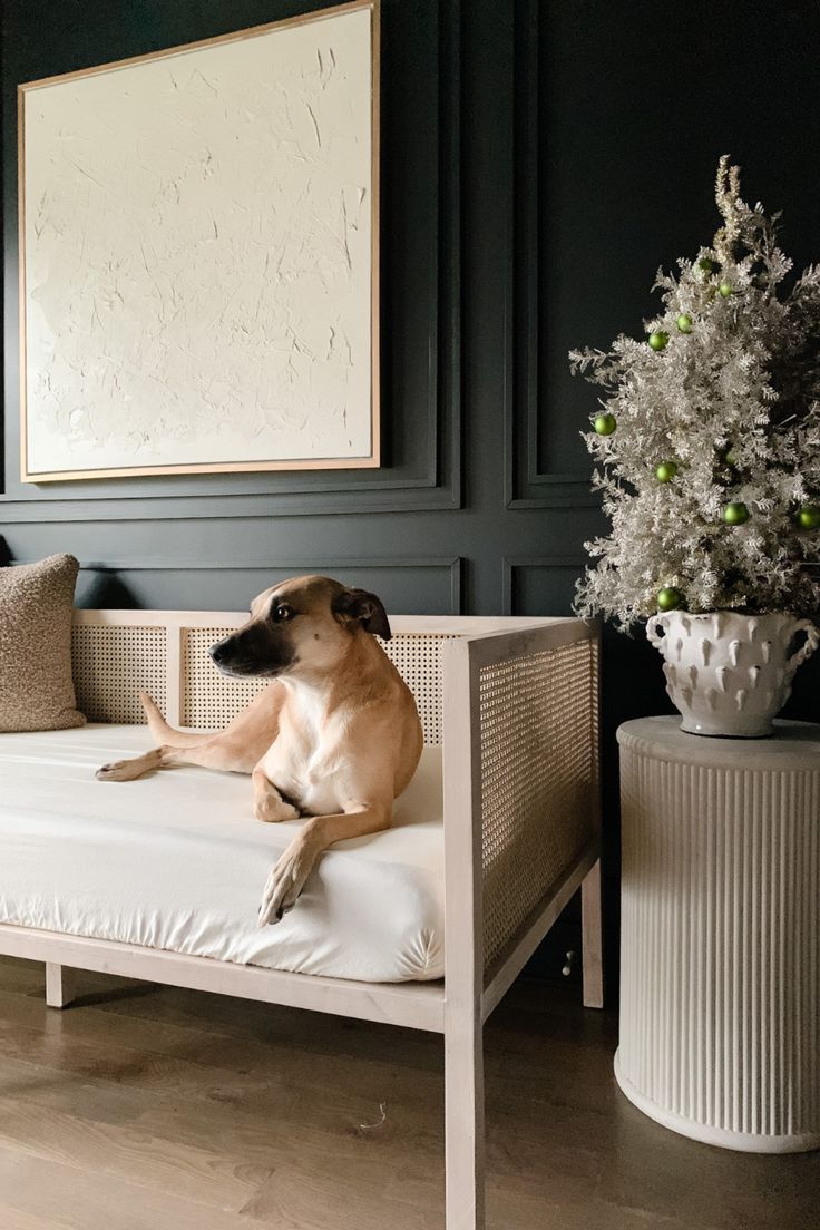 a dog sitting on top of a white couch