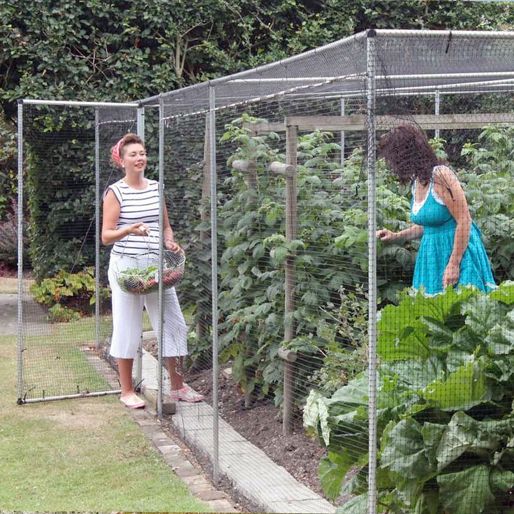 two women are standing in the garden with plants