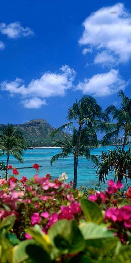 flowers and palm trees in the foreground with blue water, clouds and mountains in the background