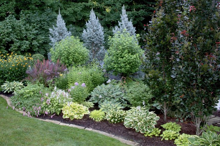 a garden filled with lots of different types of plants