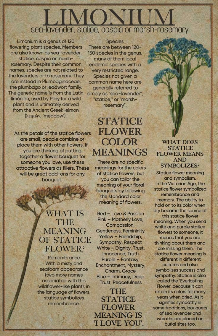 an old newspaper article with flowers on it