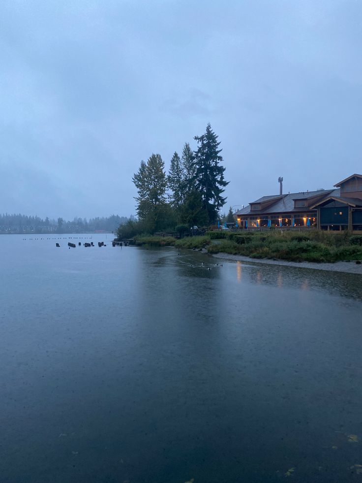 ducks are swimming on the water in front of a large house and trees at dusk