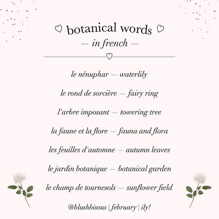 a poem written in french with flowers on the front and back cover, which reads botanical words in french