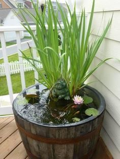 a potted plant sitting on top of a wooden barrel filled with water and plants