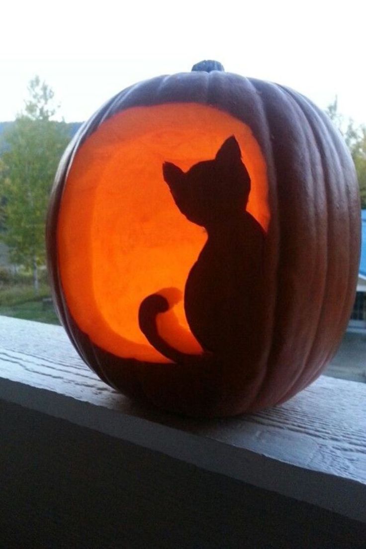 a carved pumpkin with a cat sitting in it's center, on a window sill