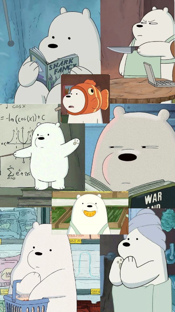 Ice Bear Wallpaper, Ice Bear, Ice Bears, Bear Wallpaper, Phone Wallpaper, Tv