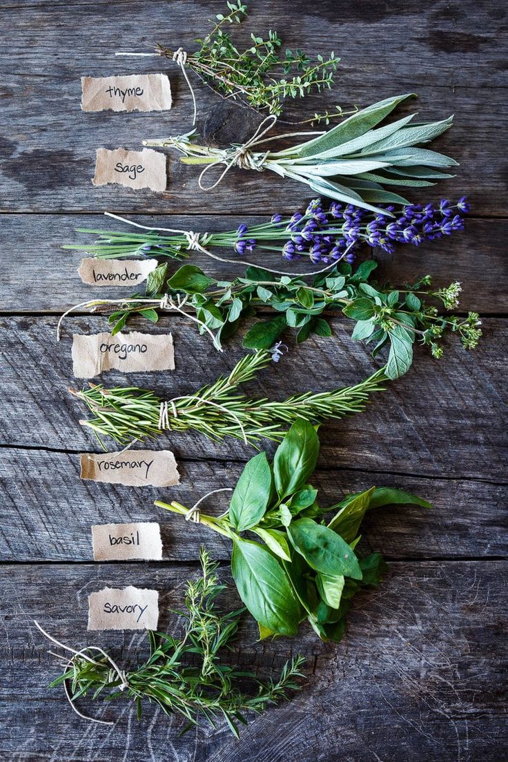 herbs laid out on a wooden table with tags attached to them and labeled with names