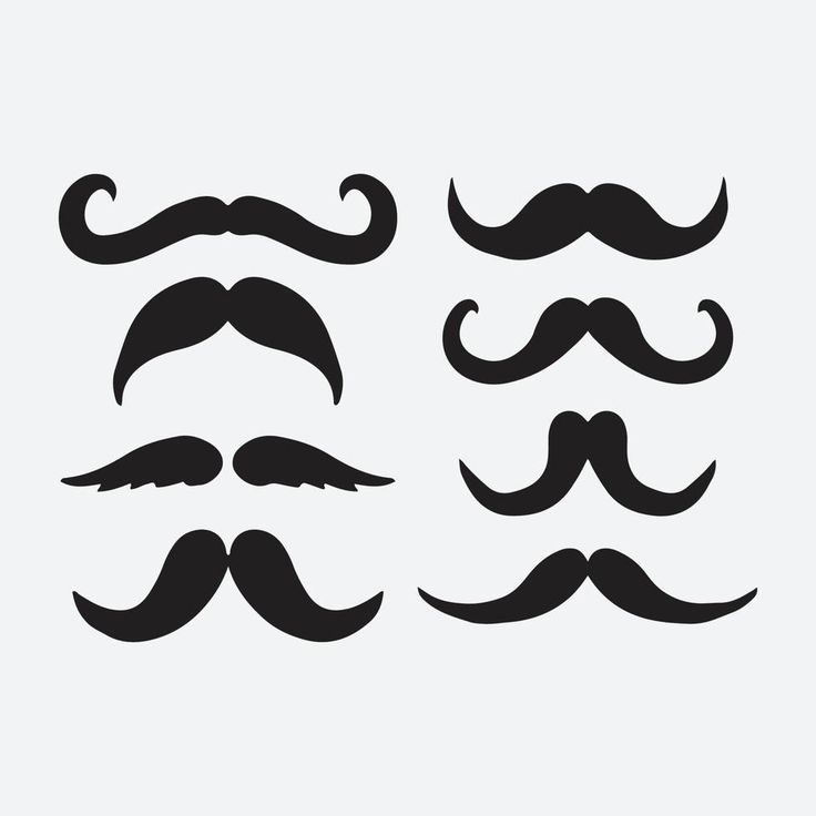 the mustaches are different sizes and shapes