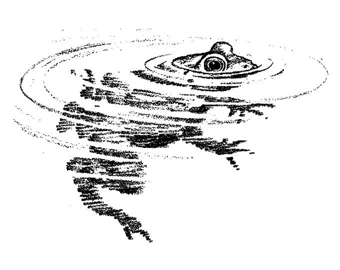 a black and white drawing of a fish in the water with its head above the water's surface