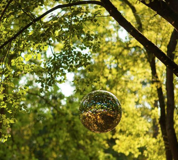 a disco ball hanging from a tree in the park