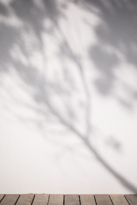 the shadow of a tree is cast on a white wall behind a wooden floor and table