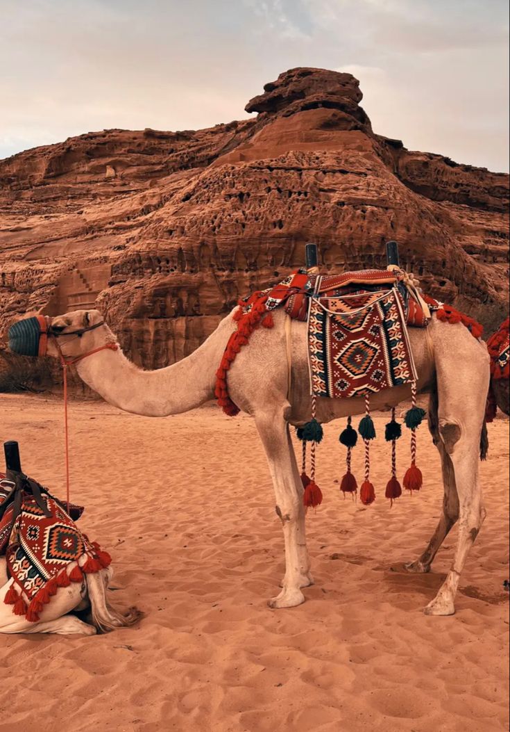 a camel is sitting in the desert with its saddled back on it's side