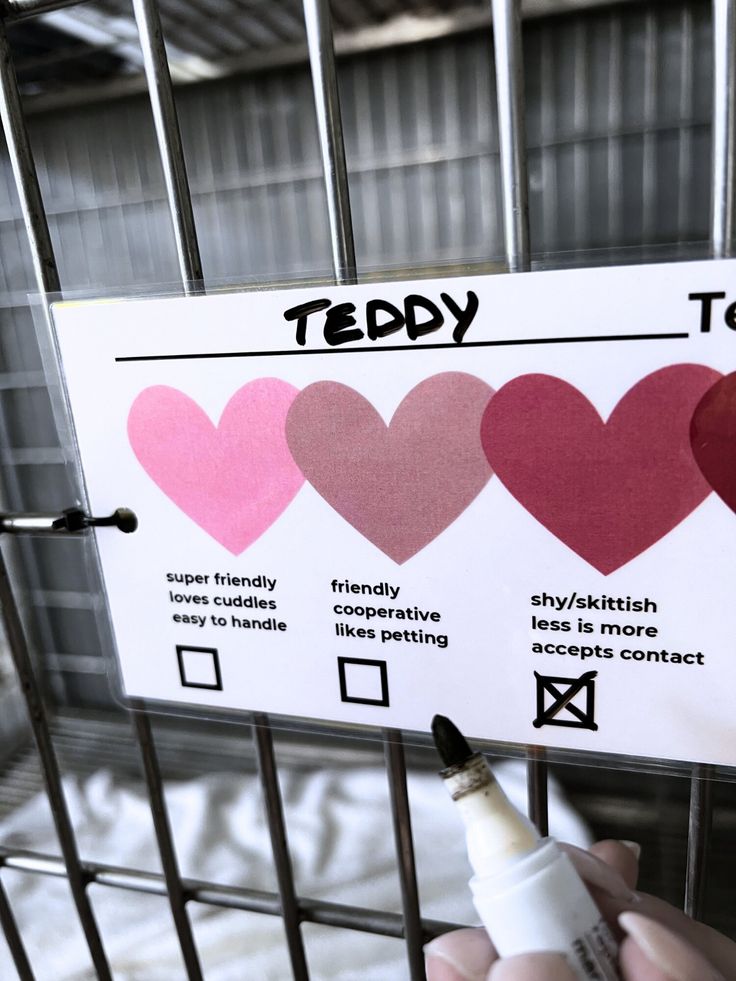 a person holding a marker in front of a cage with hearts on it and the words tedy written on it