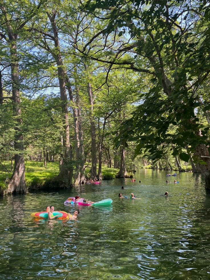 people swimming in the river surrounded by trees