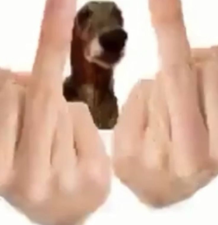 two hands making the middle finger sign with their fingers in the shape of a dog's head