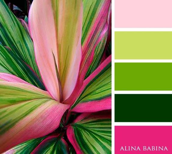 the color scheme is green, pink and purple with an image of a large flower