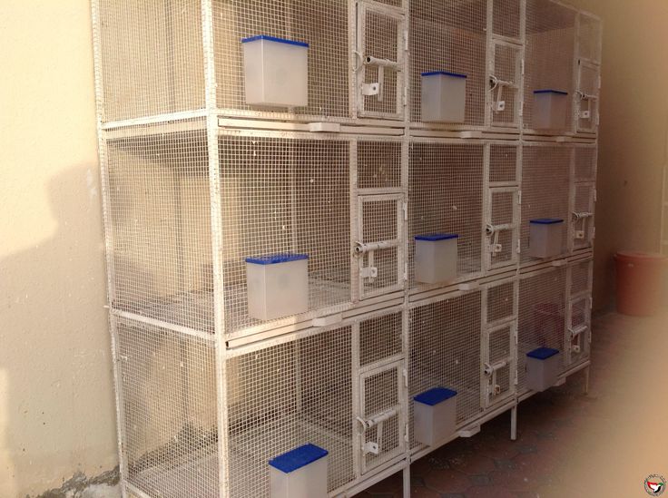 several cages are stacked on top of each other with plastic containers in front of them