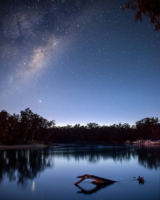 the night sky is filled with stars above a body of water and trees in the foreground