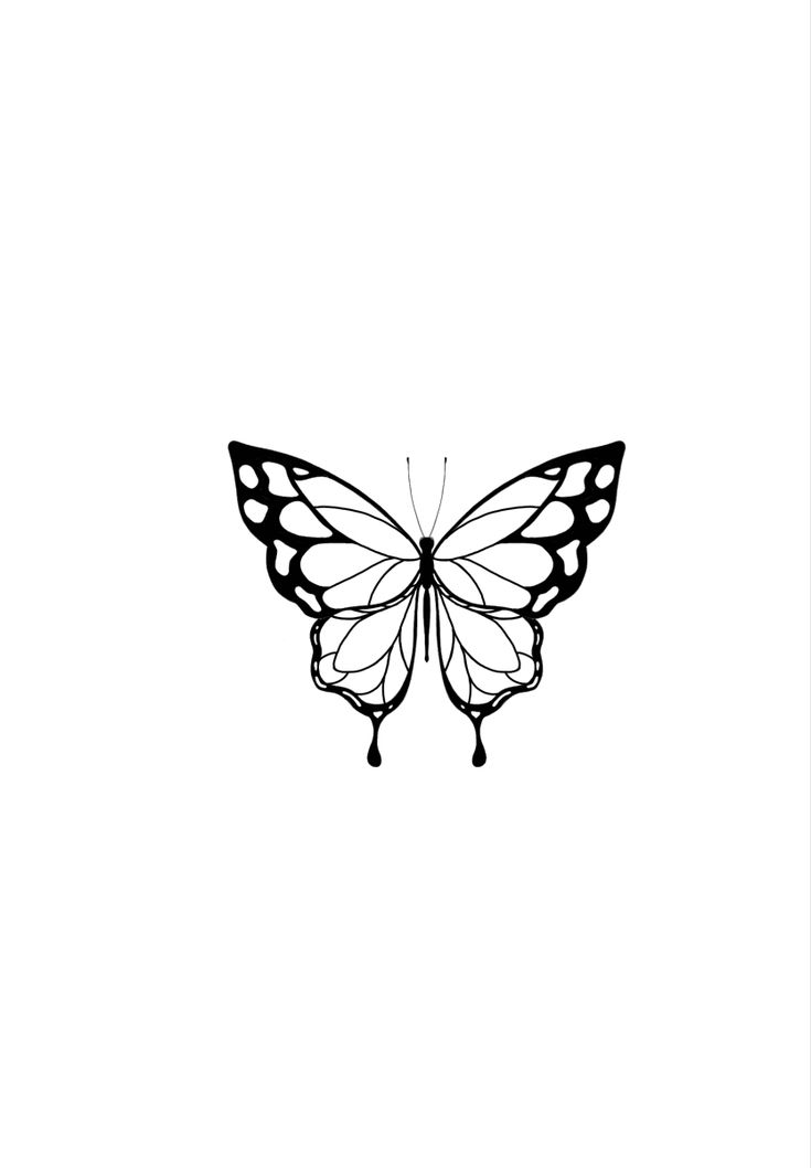 a black and white photo of a butterfly