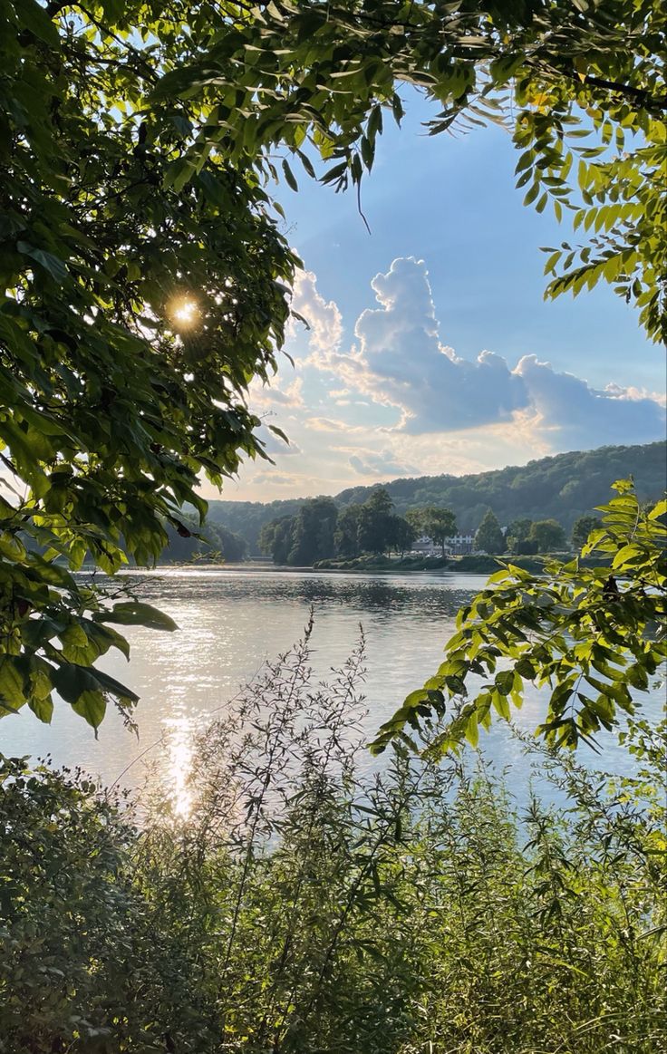 the sun shines through some trees over a body of water