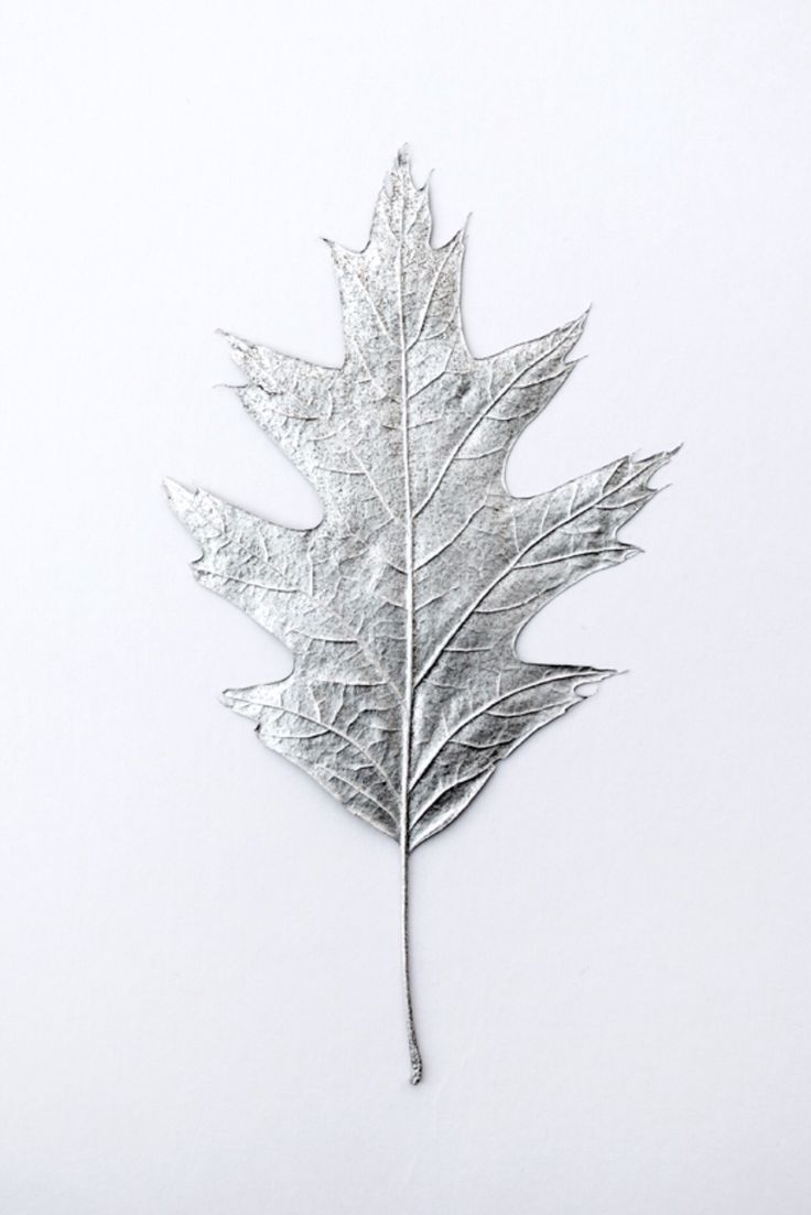 a silver leaf on a white background