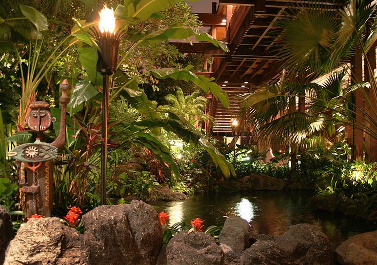 a pond surrounded by trees and rocks in a building with lights on it's sides