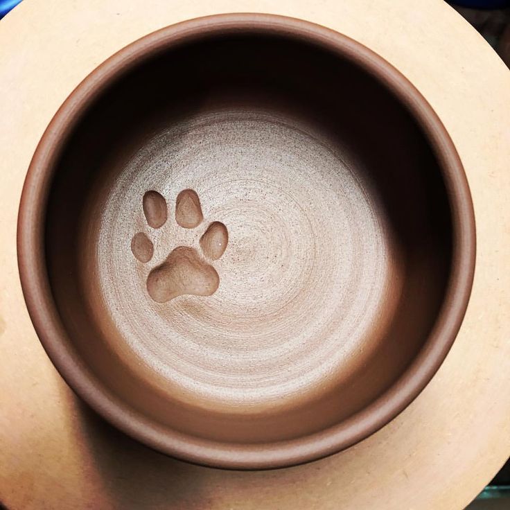 a brown bowl with a paw print on it