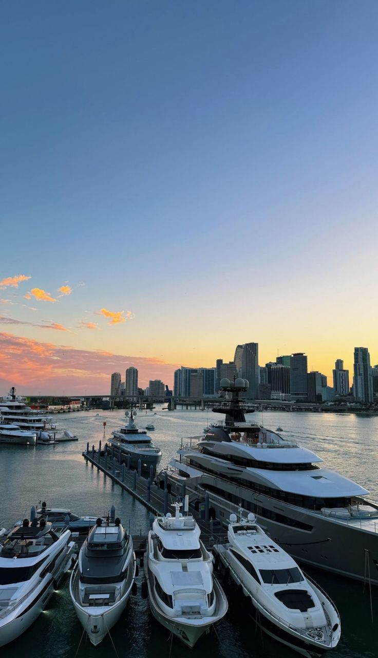 many boats are docked in the water near some large city buildings and skyscrapers at sunset