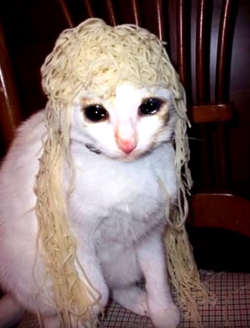 a cat sitting on top of a wooden chair wearing a hat made out of noodles