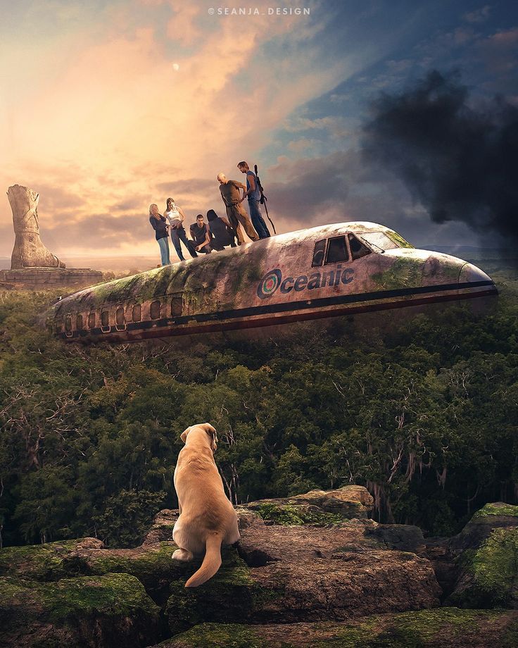 a movie poster with a dog looking at people standing on top of a plane