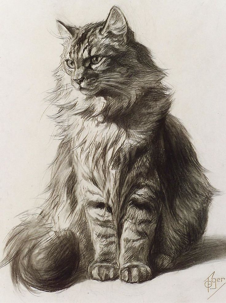 a drawing of a cat sitting on the ground